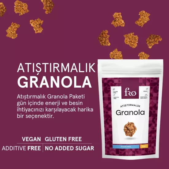 FRO 3’lü Atıştırmalık Granola Vegan Glutensiz Şekersiz Atıştırmalık Sağlıklı Ara Öğün Granola